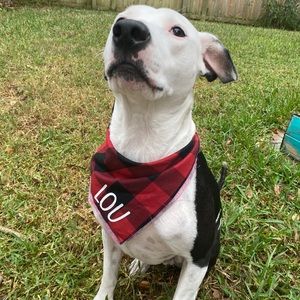 Meet your Posher, Aimee